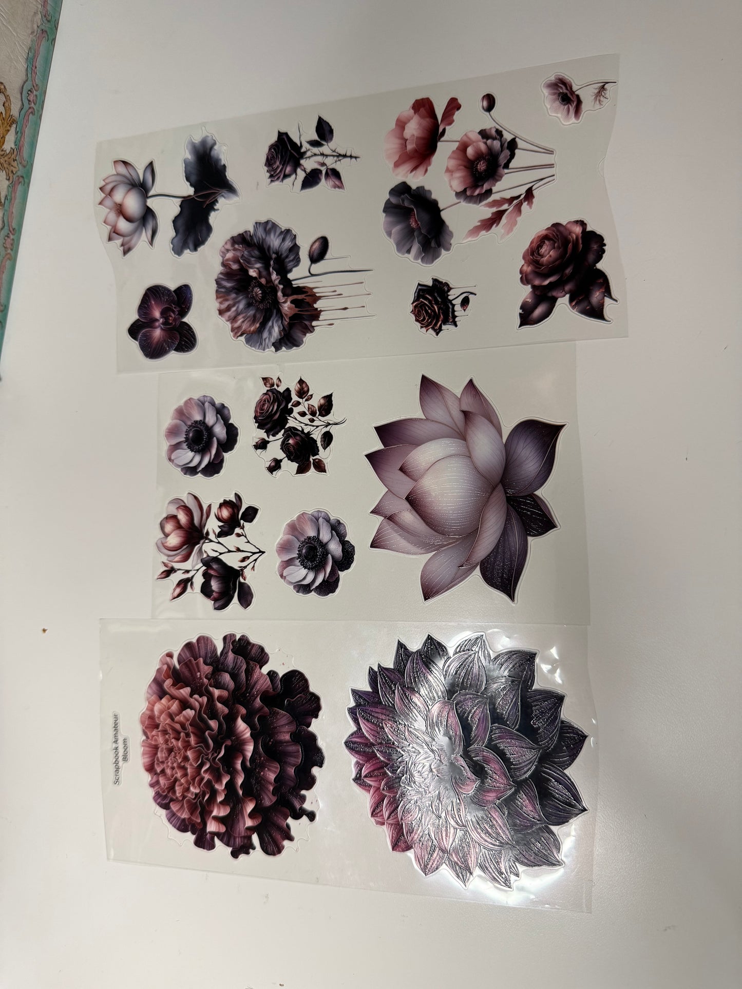 Bloom